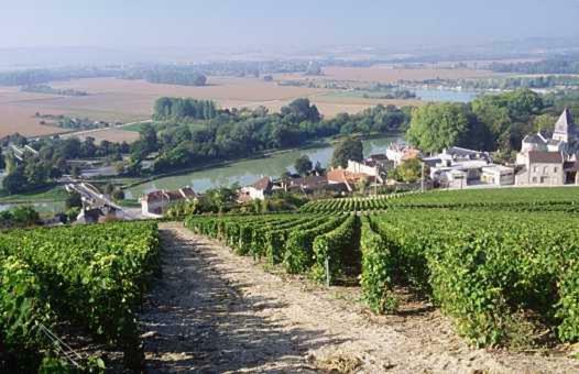 Le Clos Corbier Mareuil-sur-Ay Ngoại thất bức ảnh